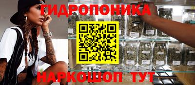 индика Бийск