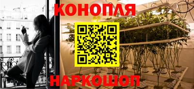 ГАЛЛЮЦИНОГЕННЫЕ ГРИБЫ Беслан