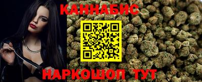 индика Бийск