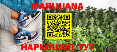 индика Бийск