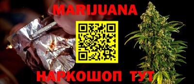 индика Бийск