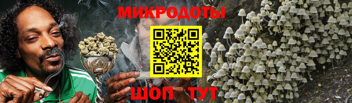 Псилоцибиновые грибы Psilocybine cubensis  Псилоцибиновые грибы мицелий  Вход с VPN  купить наркоту  Дубна 